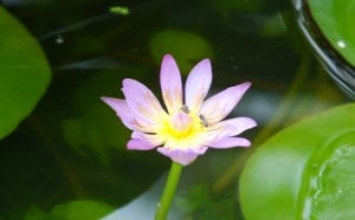 Và đừng quên rằng